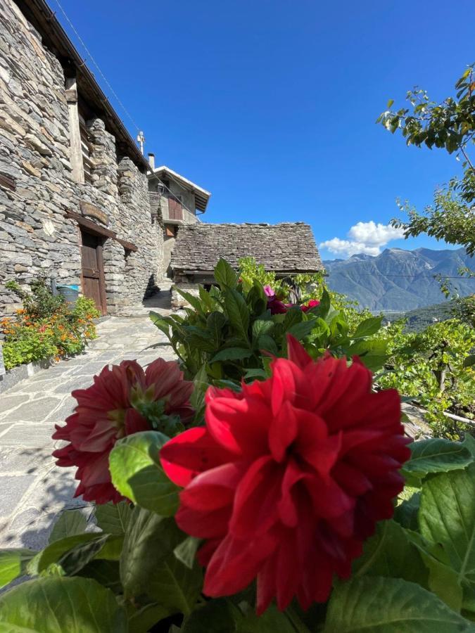 Casa Vacanze La Carbunera Villa Домодосола Екстериор снимка